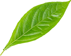 Zhejiang Xinyike New Material Technology Co.,Ltd.